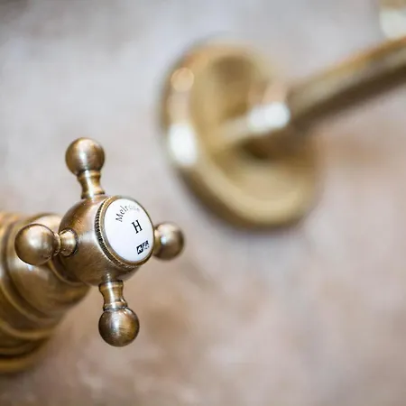 Alpenchalet Prinsengut